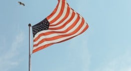 IRS, Free File Alliance Offers Free Tax Filing, Including Intuit TurboTax Freedom Edition