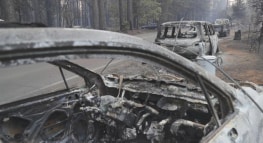 Powering Community: Intuit Joins Bay Area Tech Companies in Supporting Wildfire Victims