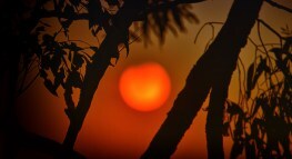 Intuit Assists Australia Wildfire Relief with $1M Donation