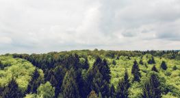 Highlights from our Intuit Corporate Responsibility Report
