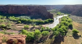 Building Indigenous allyship and the importance of land acknowledgments