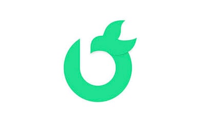 Bankuish Logo