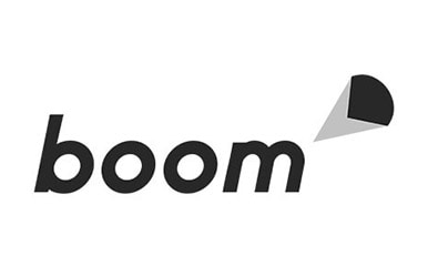 Boom's logo with a top right pie icon