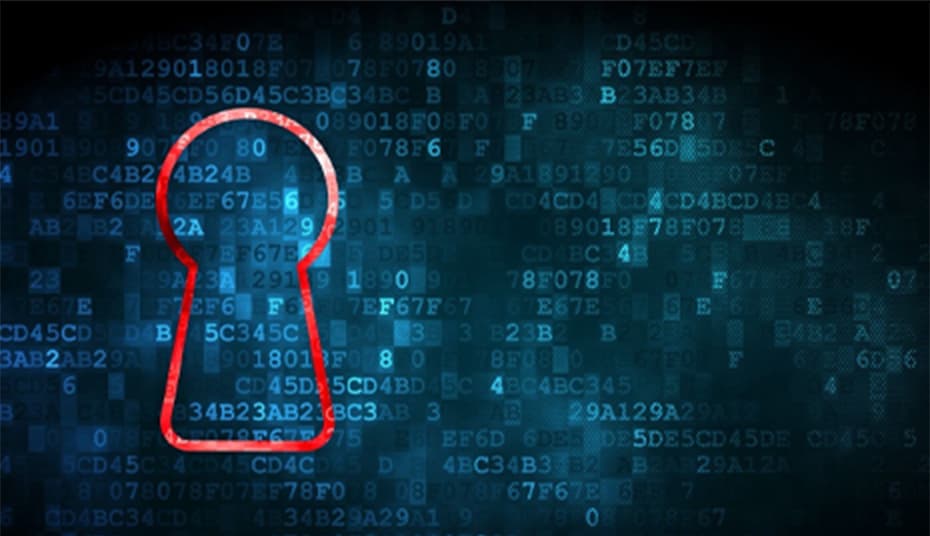Image Alt Text