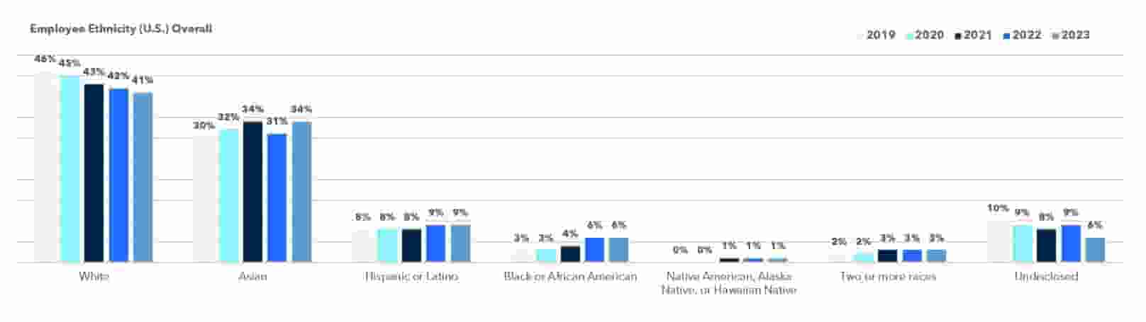 Overall Ethnicity Data in 2023