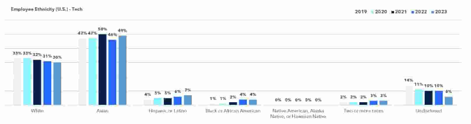 Overall Ethnicity Data in Tech Roles for 2023