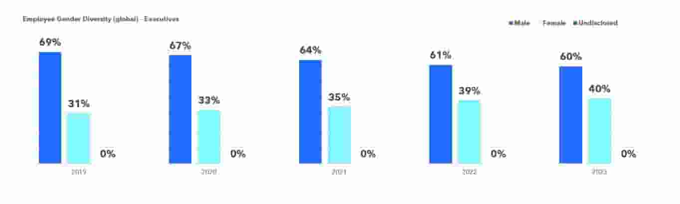 Overall Gender Data in Executive Roles for 2023