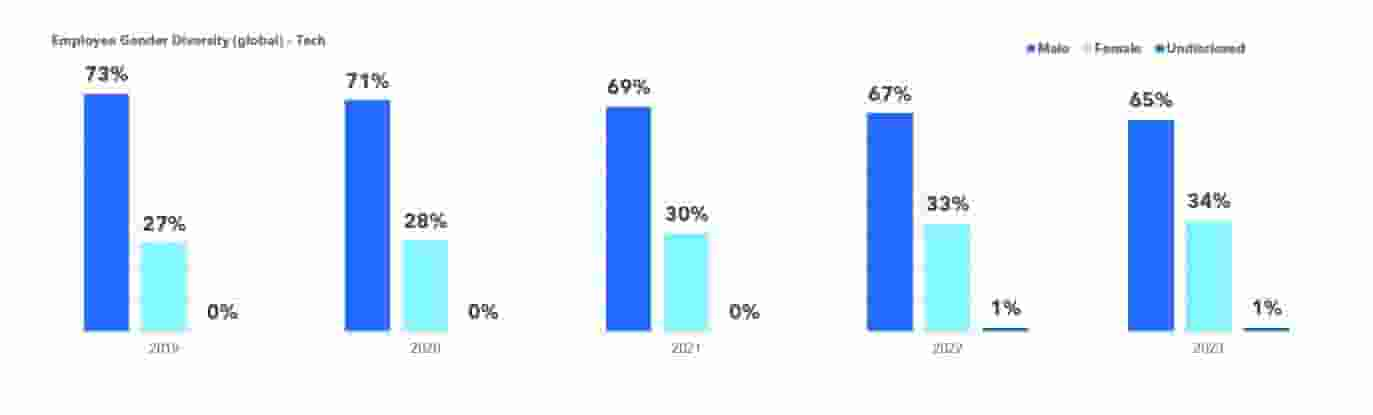 Overall Gender Data in Tech Roles for 2023