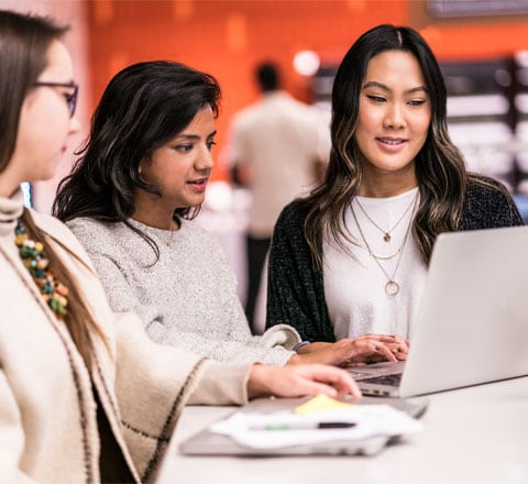 Female colleagues collaborating 