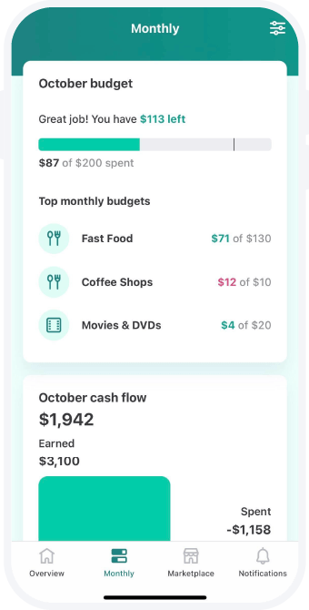 Mint monthly dashboard
