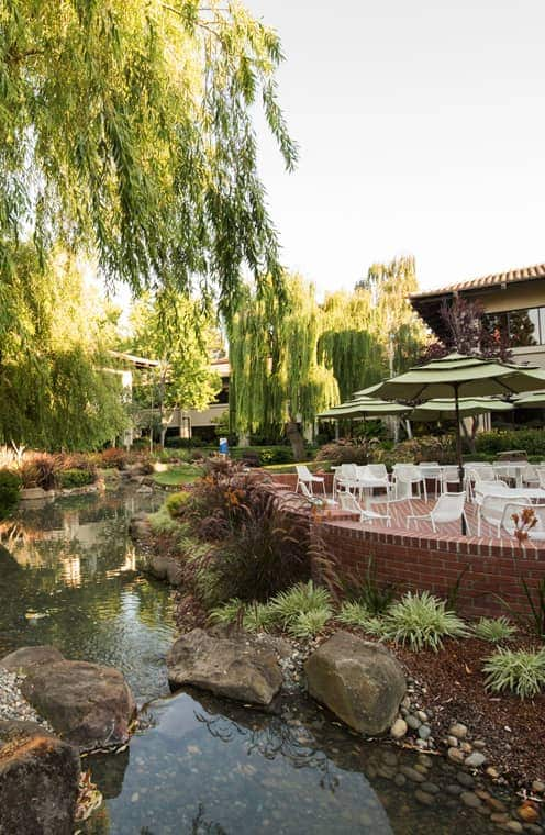 A patio with tables and chairs and umbrellas.