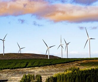 photo of wind turbines
