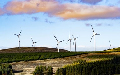 Windmills generating electricity