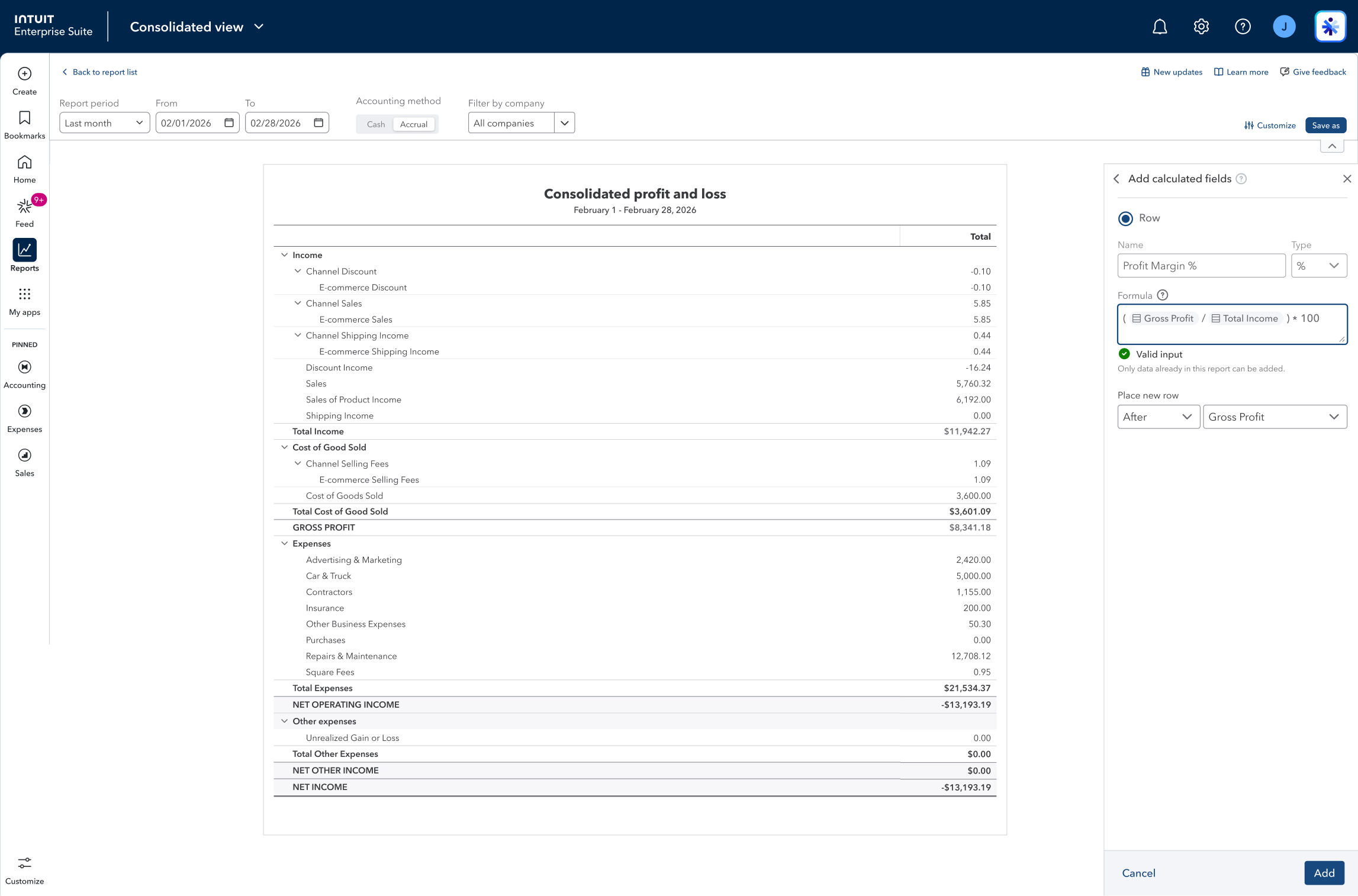Consolidated profit and loss dashboard screenshot